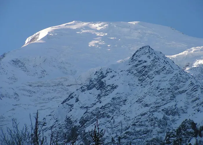 Chalet La Renardiere